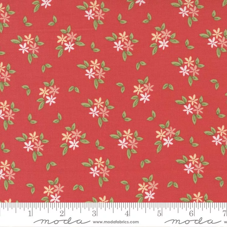 Emma Daisies Geranium 37632 13
