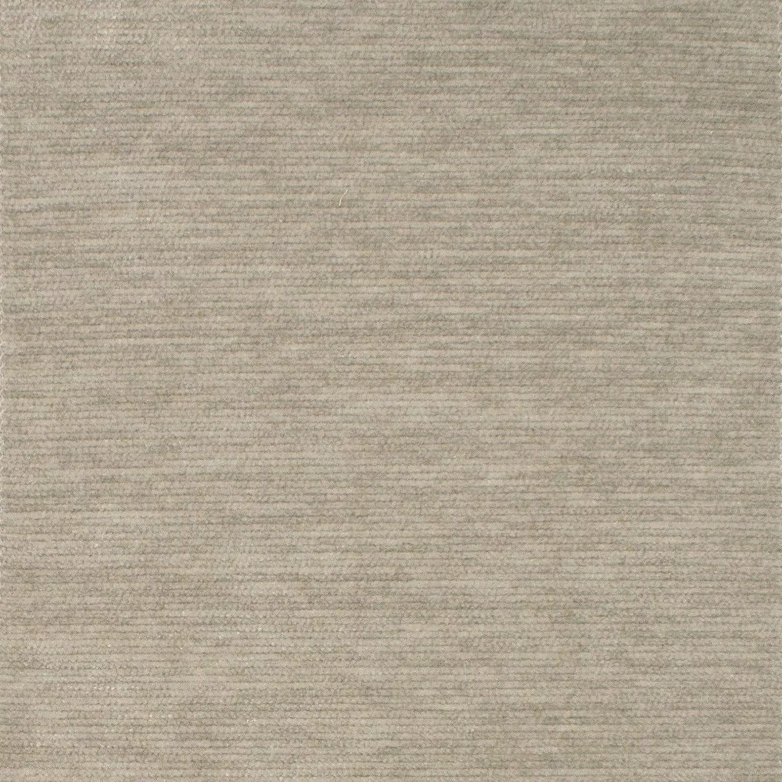 f1536 F1536