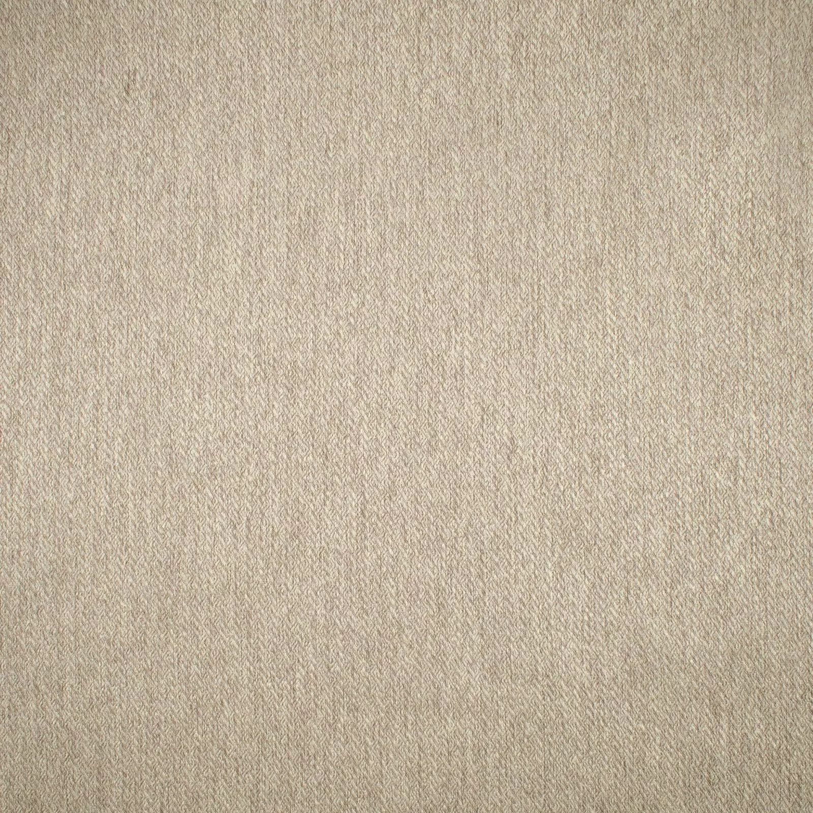 f1641 F1641