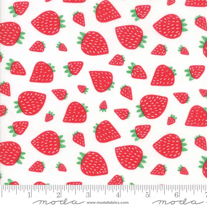 Farm Fresh Strawberry Patch Cloud 48263 11