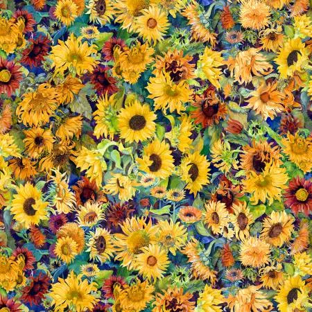 flowers-sun-packed-sunflowers-multi-colors Flowers of the Sun Packed Sunflowers Multi Colors