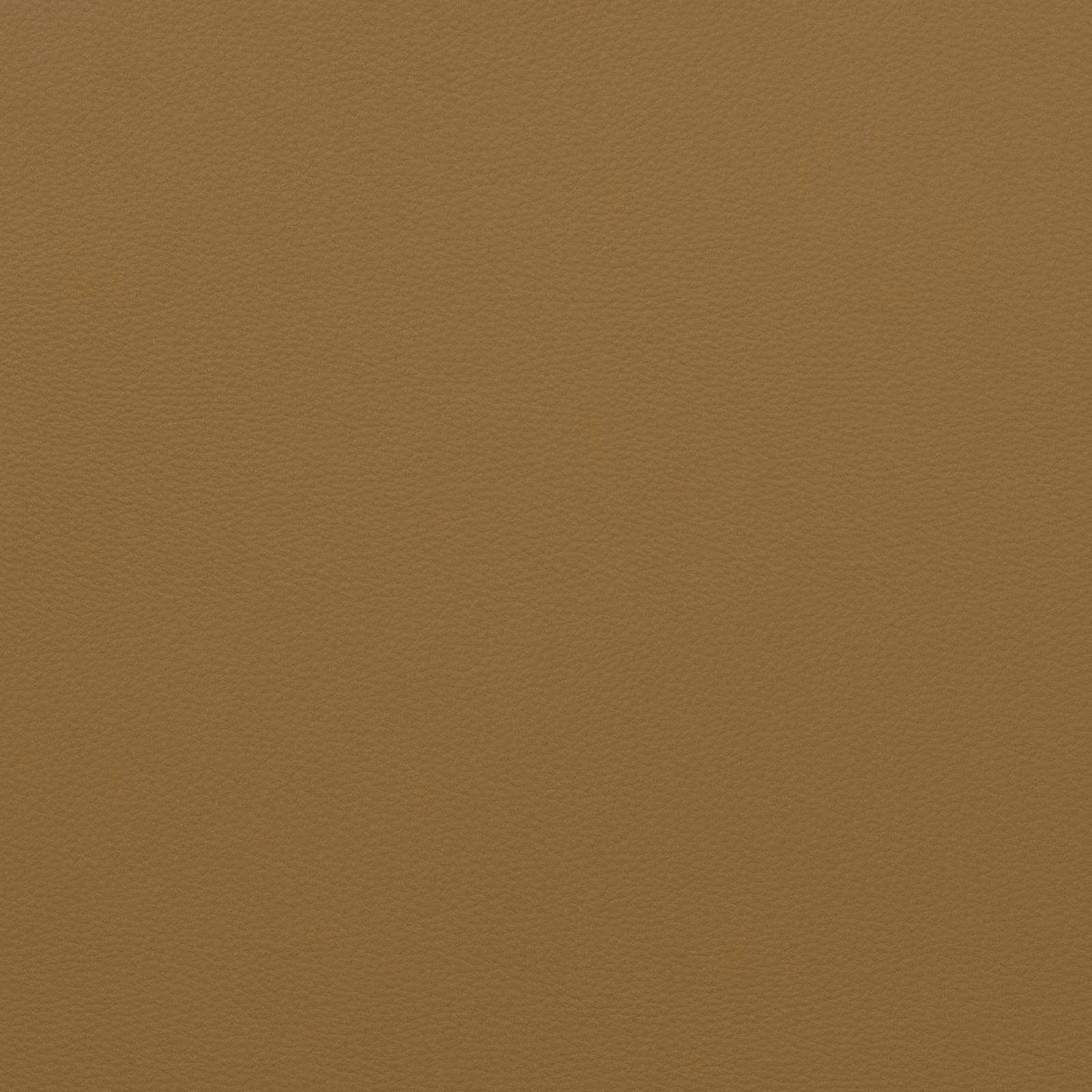 force-classic-mustard Force-Classic Mustard