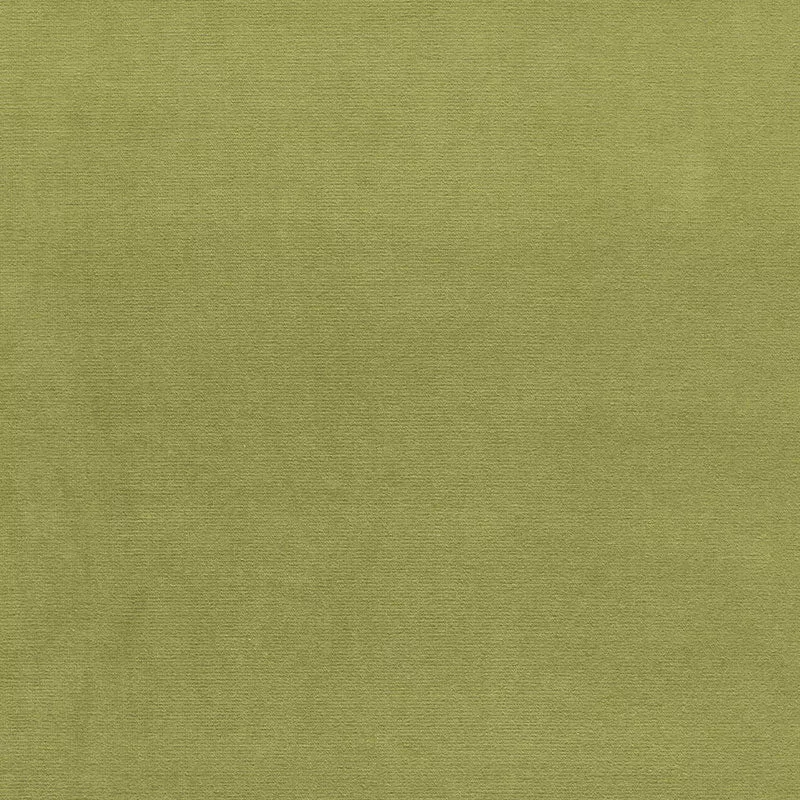 GAINSBOROUGH VELVET PALM