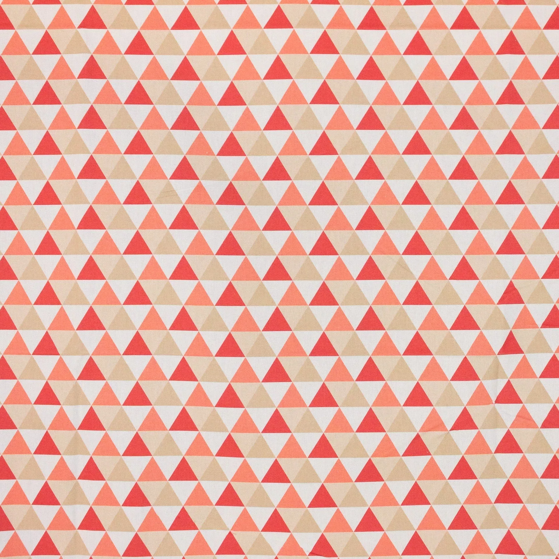 giza-melon Giza Melon