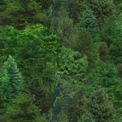 Green ForestElizabeth's Studio 176-GRE