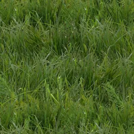 Green Grass 250E-GRN
