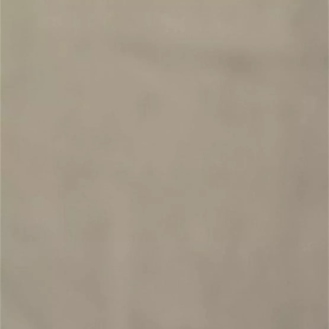 Greige 7 Velvet