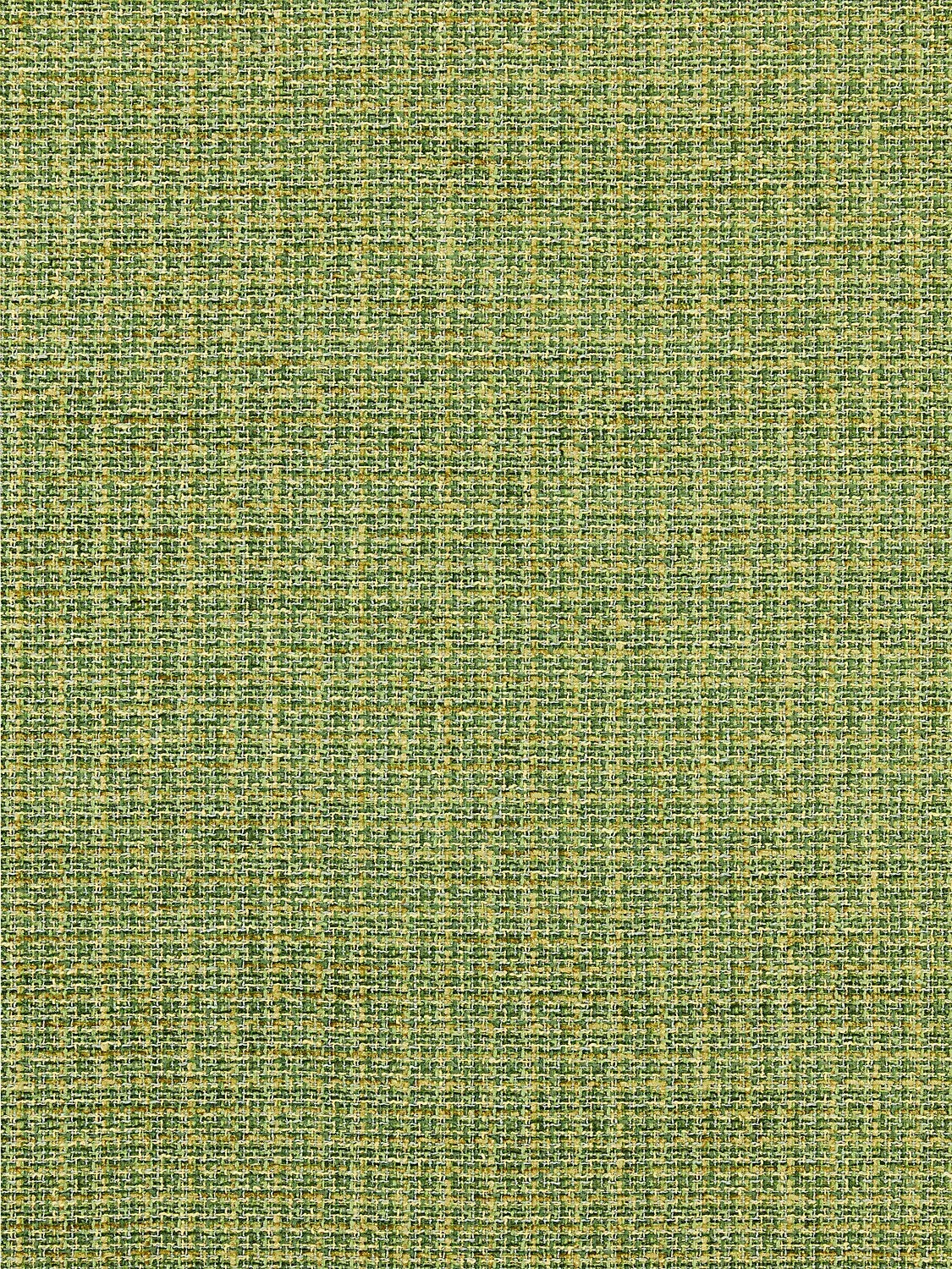 HIGHLAND CHENILLE GRASS