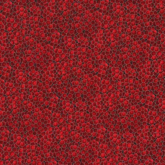 Hoffman G8556