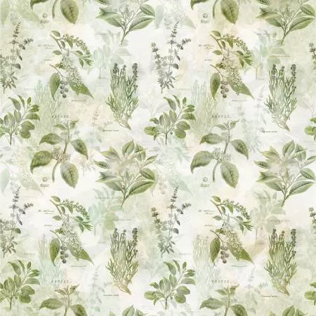 Hoffman Herb Vintage sage green fabric