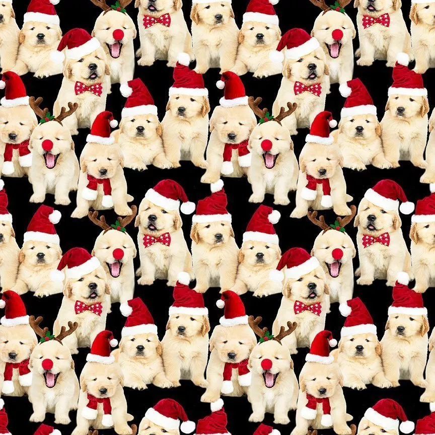 Holiday Lab Puppies CD3468 Black