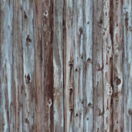 Horses Fence Gray