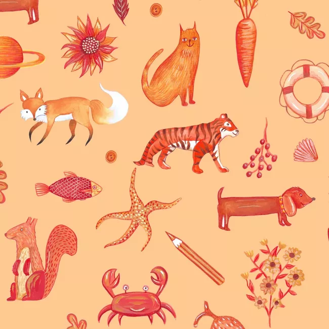 I Spy Orange