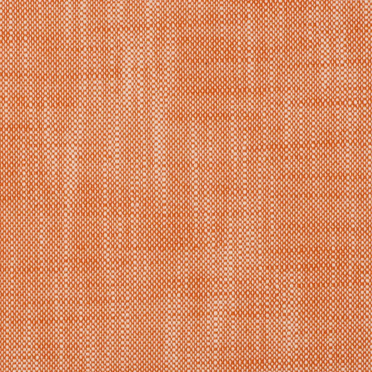 insideout-frances-citrus InsideOut FRANCES CITRUS