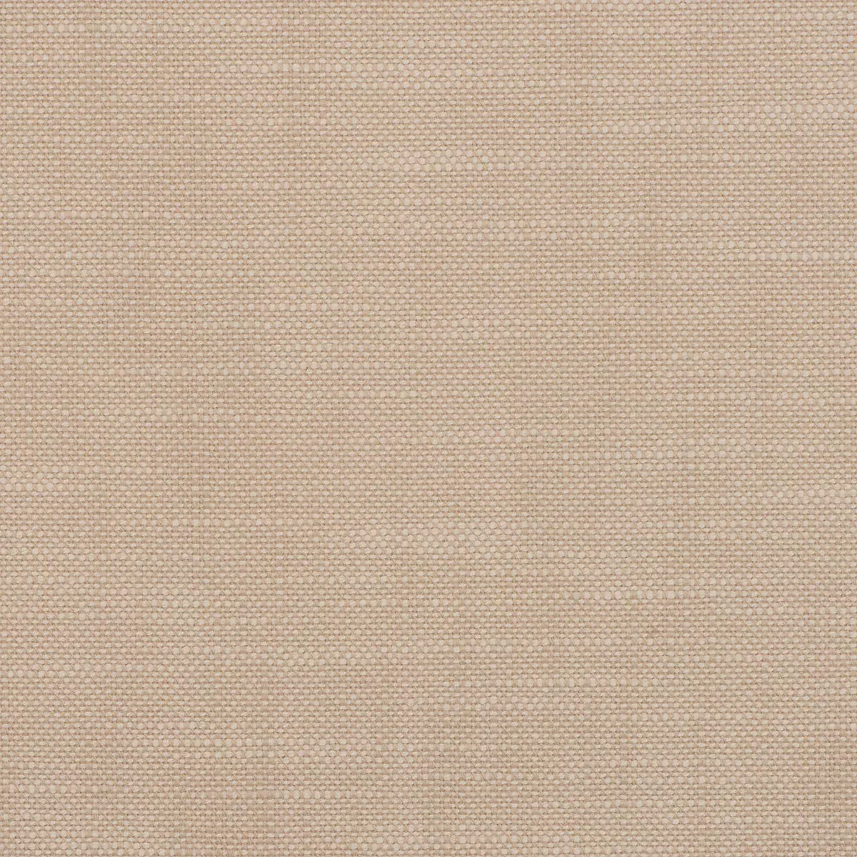 insideout-frances-latte InsideOut FRANCES LATTE