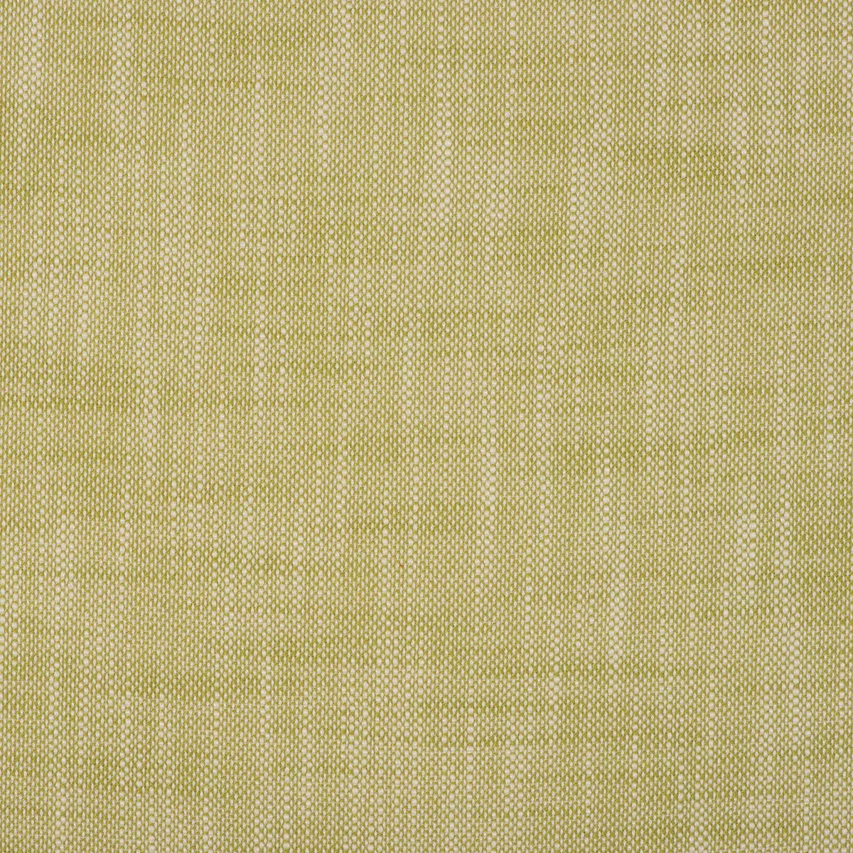 insideout-frances-palm InsideOut FRANCES PALM
