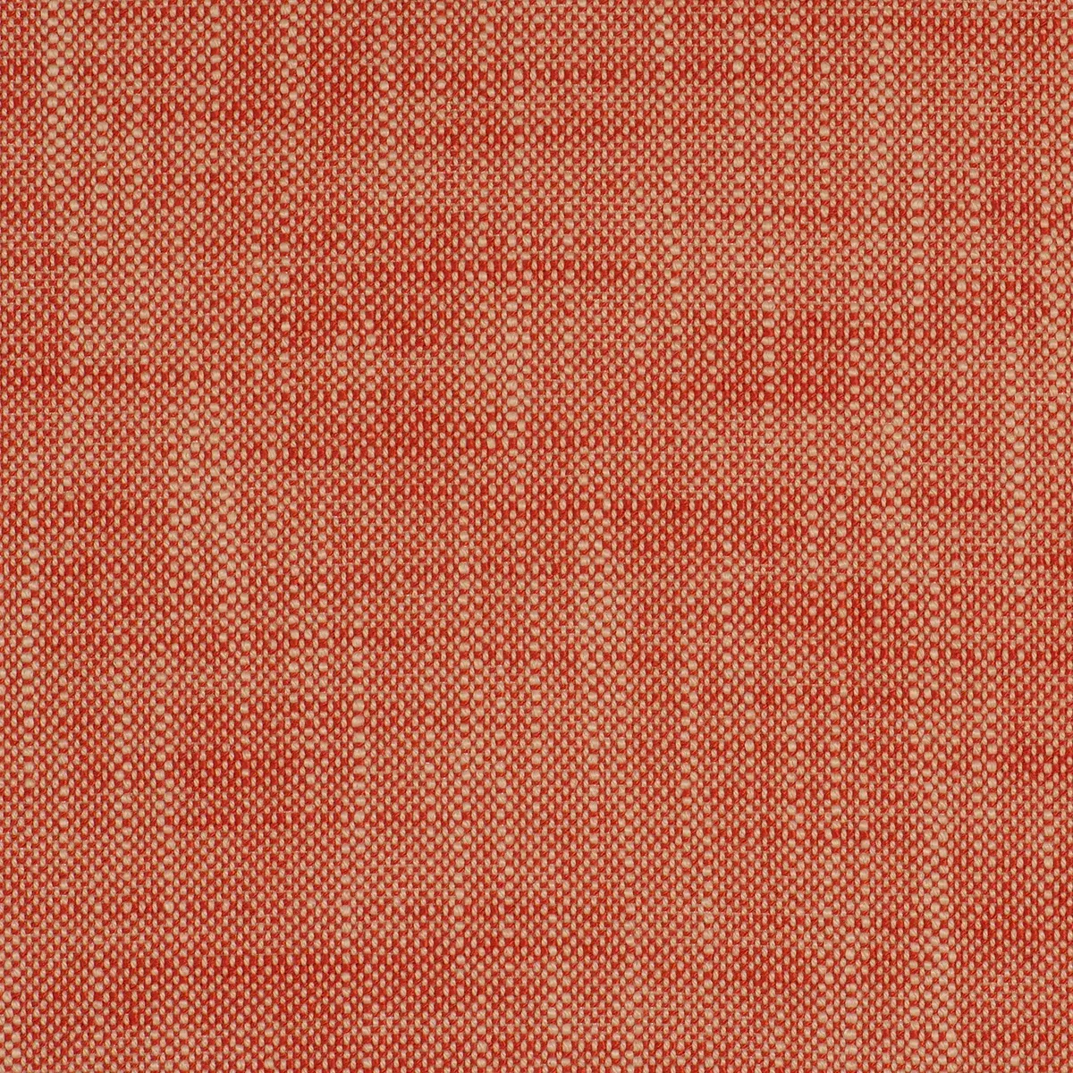 insideout-frances-salsa InsideOut FRANCES SALSA