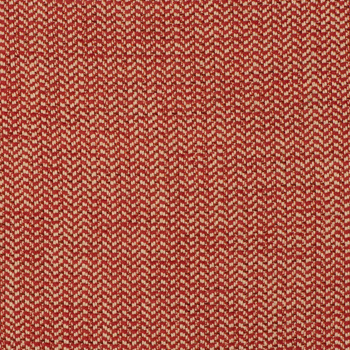 insideout-peyton-salsa InsideOut PEYTON SALSA