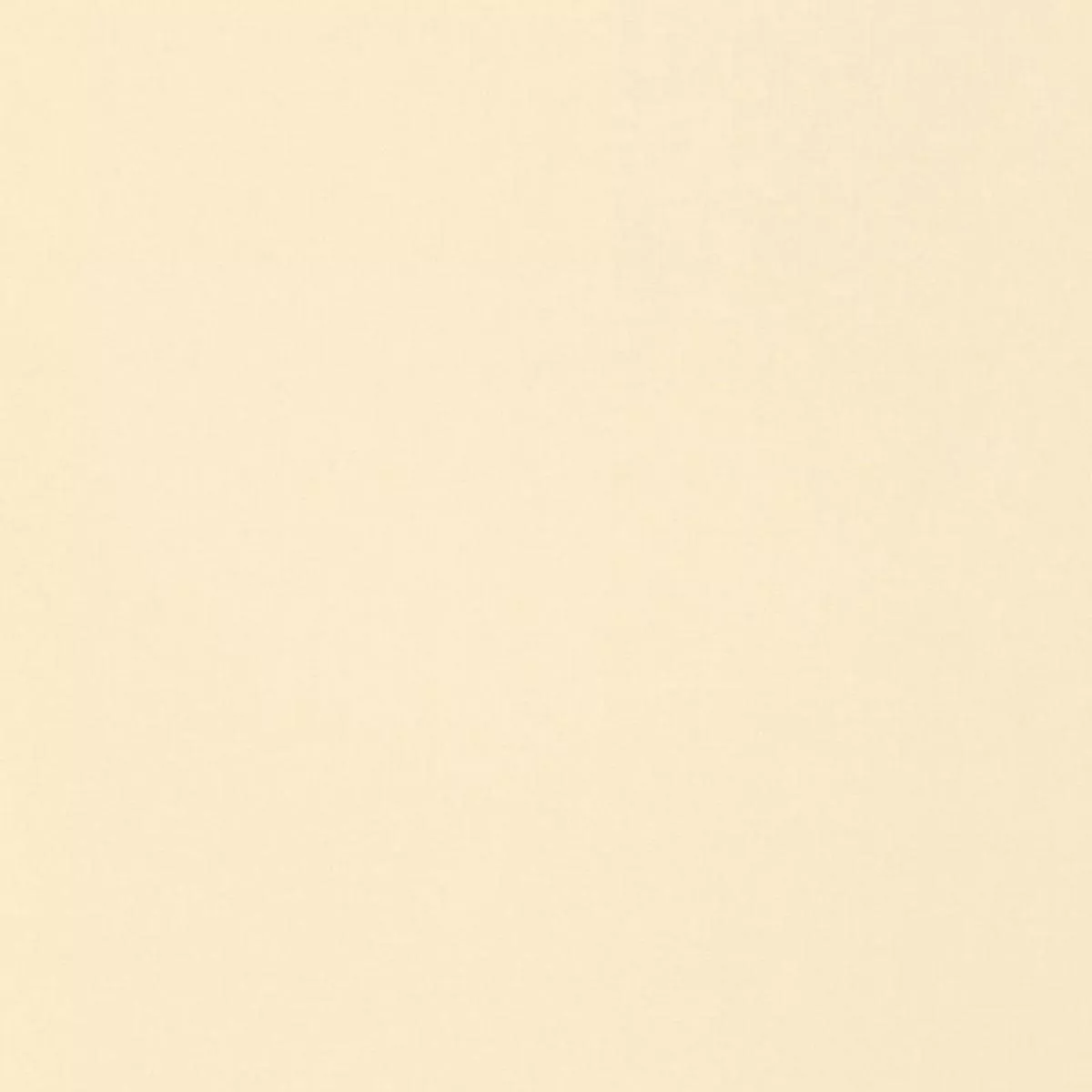 Isolde Cotton Weave Chamois Fabric