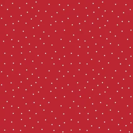 Kimberbell Basics8210-R2
