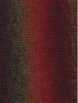 Knitting Fever Painted Desert Camp Fire 06