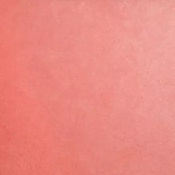 kozy-cuddle-extra-wide-coral-c390-solids Kozy Cuddle Extra Wide Coral C390 Solids