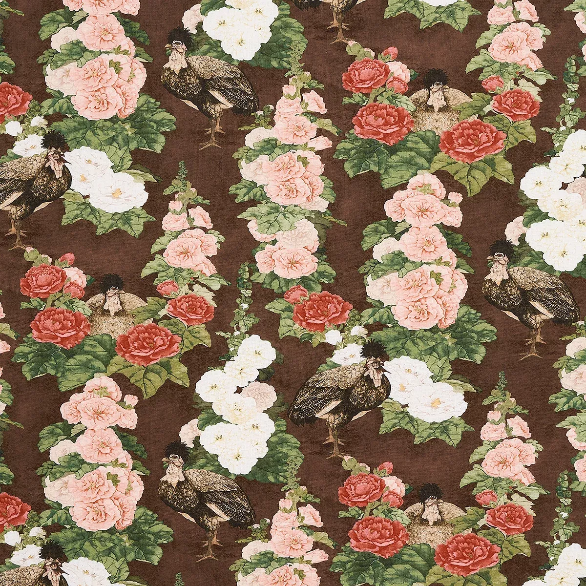LADY HOLLYHOCK BROWN