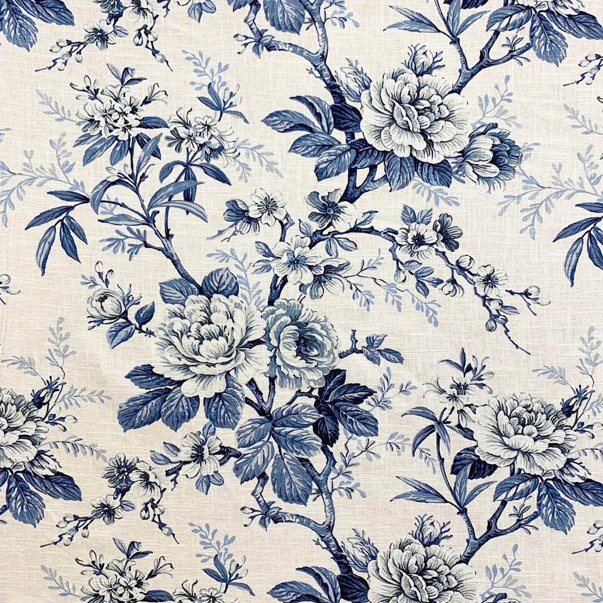 lamore-bluechina LAMORE BLUECHINA