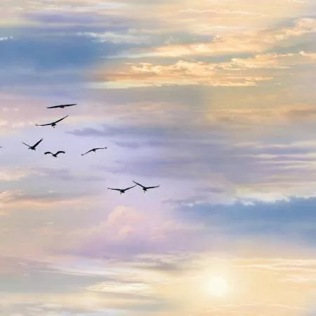 Landscape Medley Clouds Multi 5016E-MLT