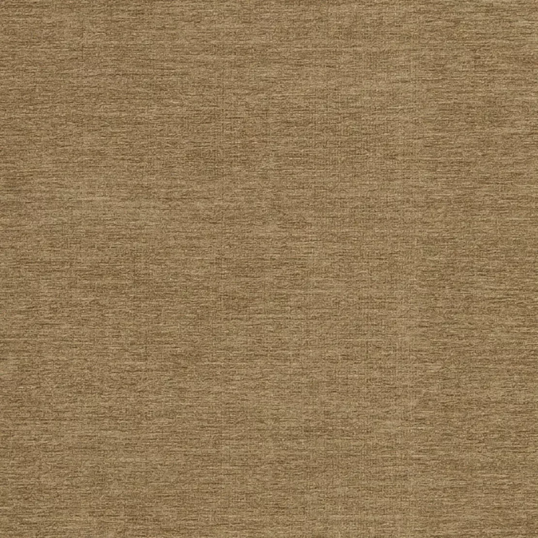 latte-chenille Latte Chenille