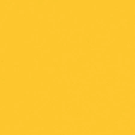 Light Gold American Made Brand Solid