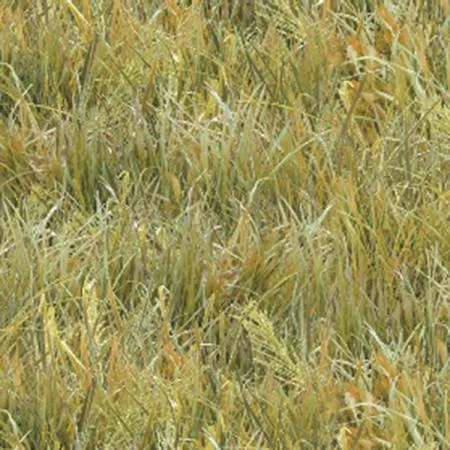 Light Green Grass 250E-LTGRN