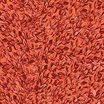 Lily - Shrubbery Red
