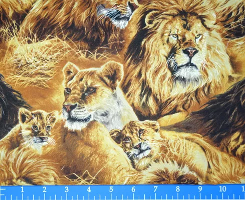 Lions – K5032-751