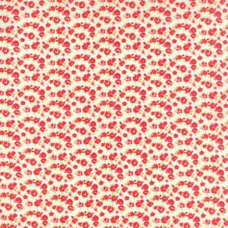 little-ruby-55138-17-fat-1-4 Little Ruby – 55138-17 (Fat 1/4)