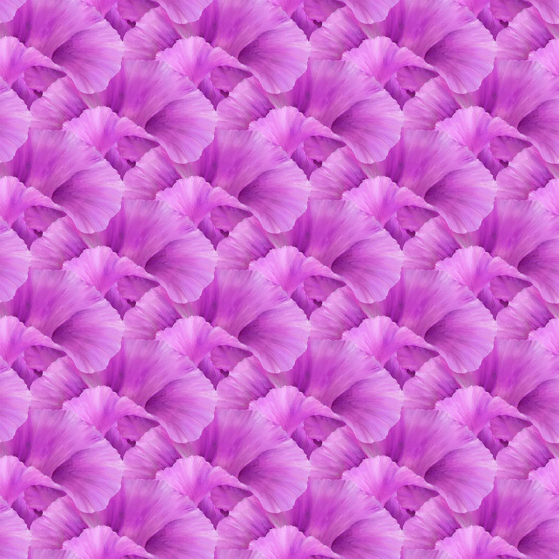 LUSH - Iris MAGENTA DP24192-28