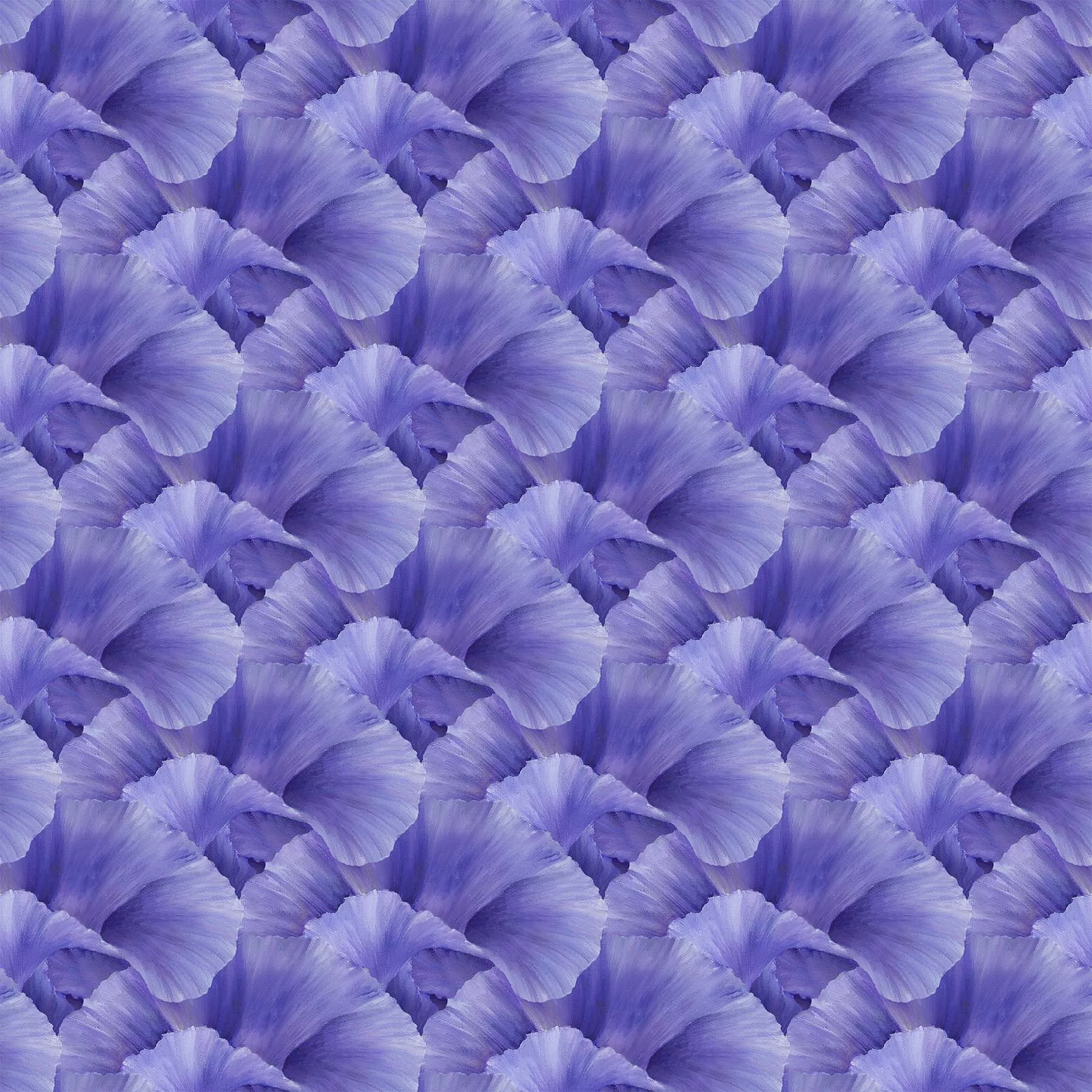 LUSH - Iris VIOLET DP24192-85