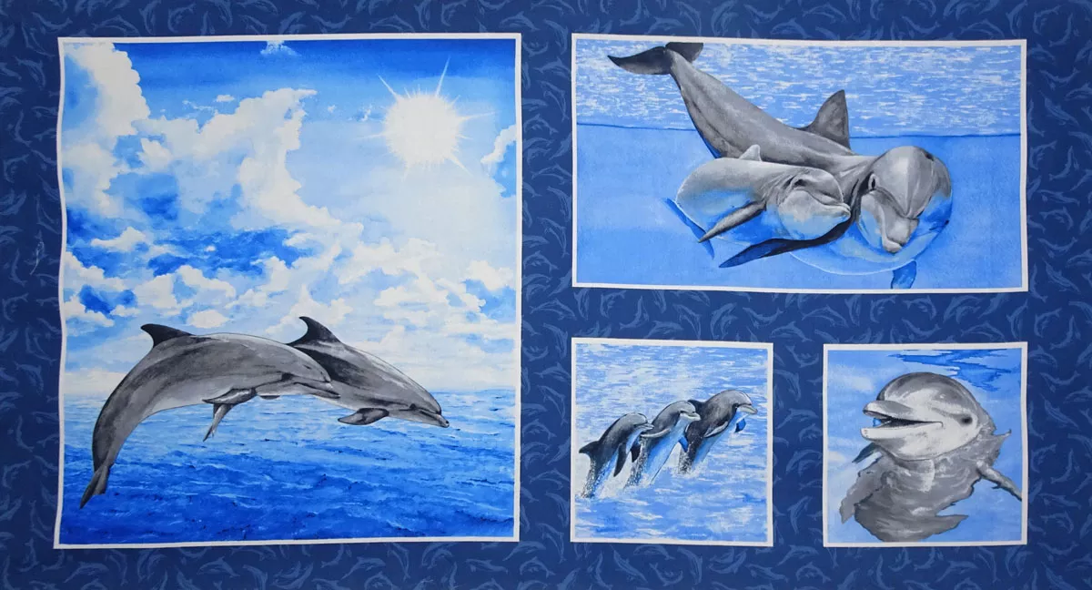 Make a Splash Panel