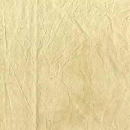 Marcia Derse Palette Solids Cream