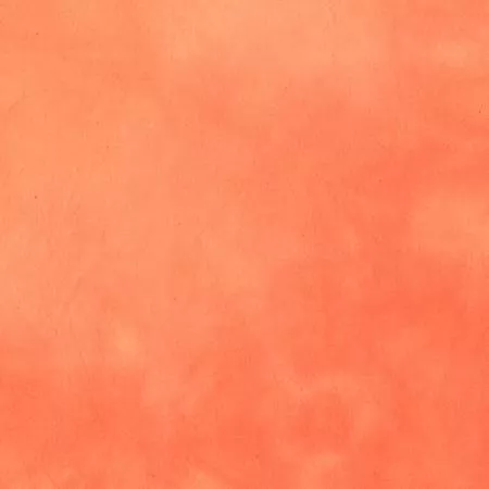 Marcia Derse Palette Solids Guava