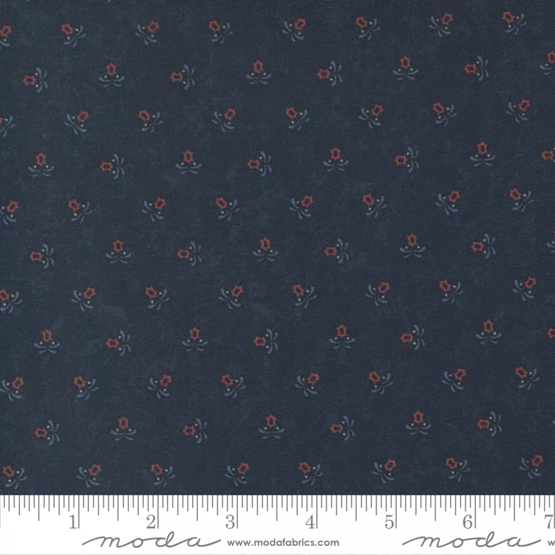 Moda Freedom Road 9696 14 Blue Multi