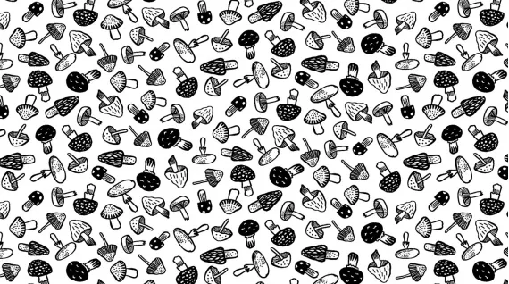 Mushrooms (White)