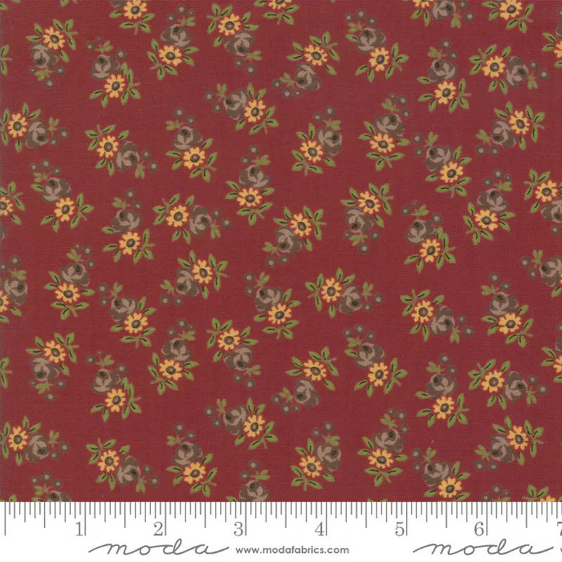 Nancy’s Needle – 31603-19