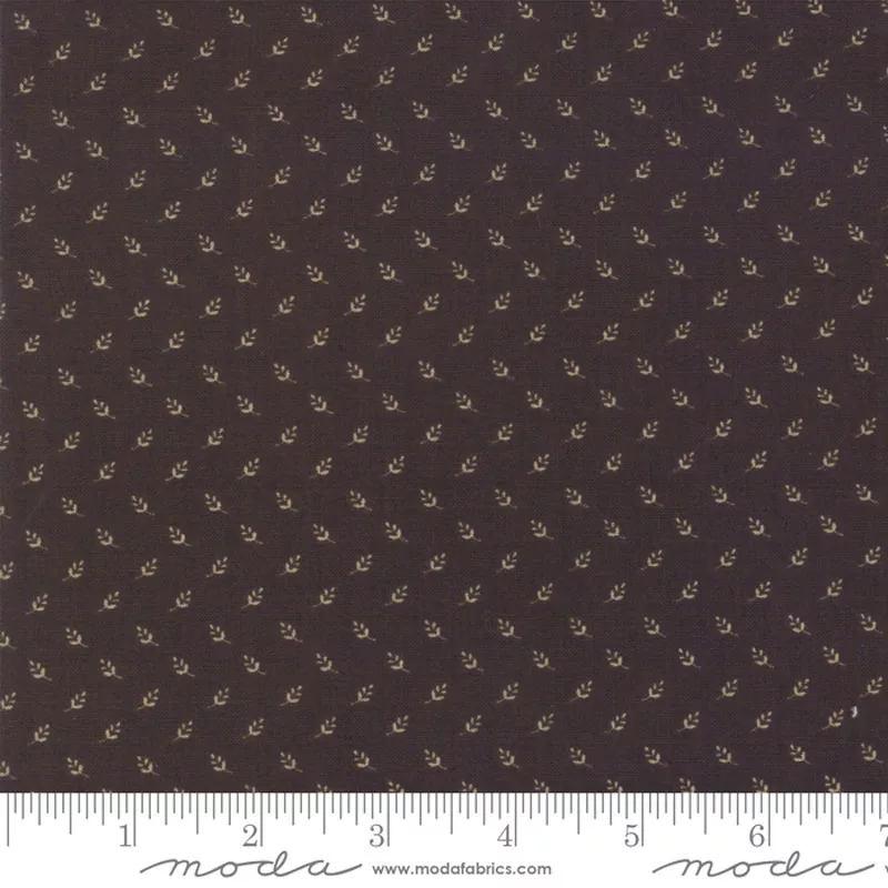 Nancy’s Needle – 31606-20