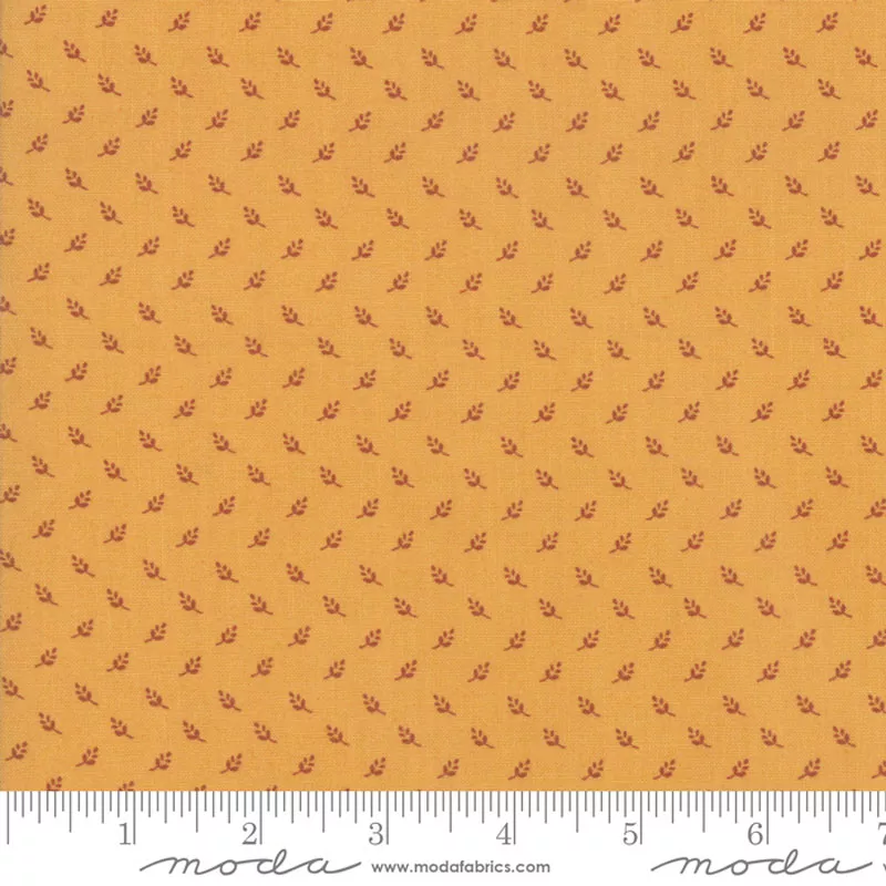 Nancy’s Needle – 31606-24