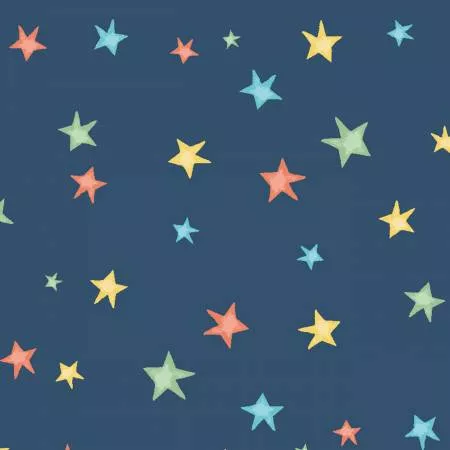 Navy Stars