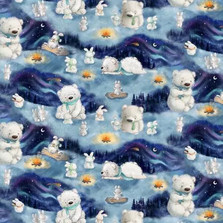 Night Arctic Nights Scenic Repeat