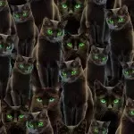 nightmare-at-halloween-halloween-cats-black Nightmare at Halloween – Halloween Cats – Black