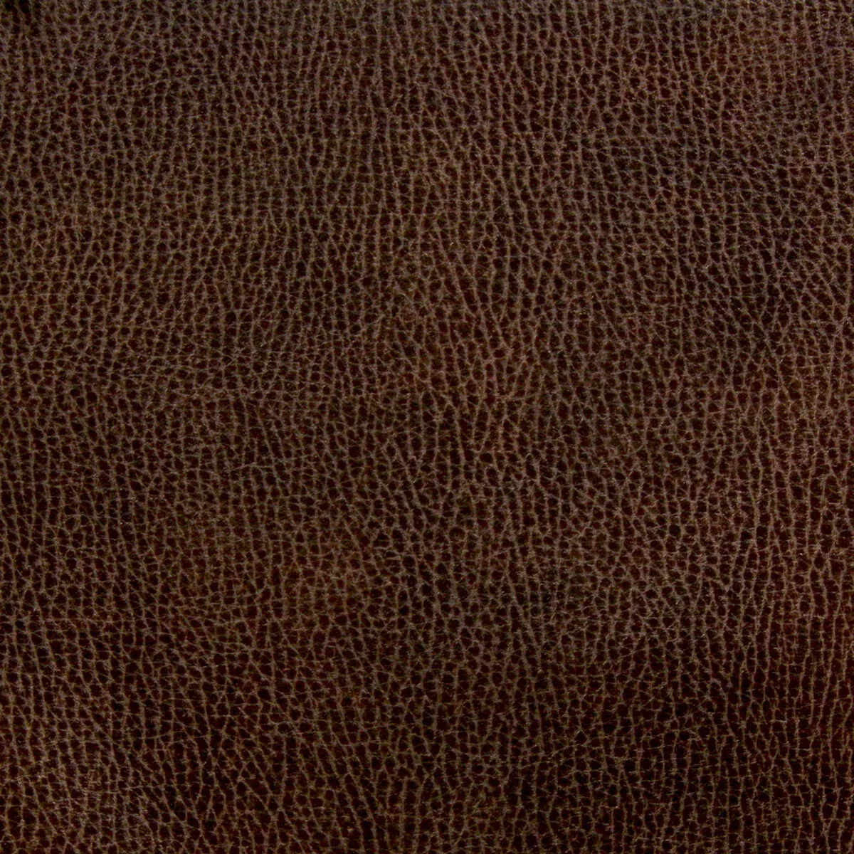 noseda-1-chocolate NOSEDA 1 CHOCOLATE