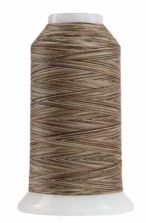 Omni Variegated Polyester Thread 40wt 2000yd Would Chuck Wood